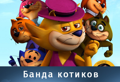 3 ноября - 26 января - Банда котиков