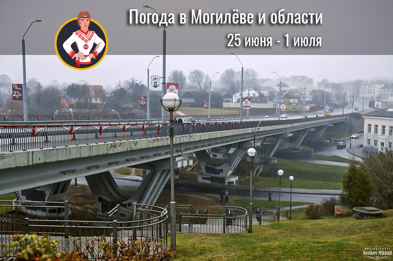 Погода в могилеве на 14 дне. Погода в Могилеве. Погода в Могилеве сегодня. Погода в Могилёве на 10 дней. Погода в Могилёве на неделю.