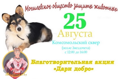 «Дари добро»: акция в помощь бездомным животным пройдёт в Могилёве