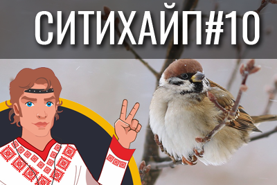 СИТИХАЙП #10: ТОП-10 постов в соцсетях Могилева на этой неделе