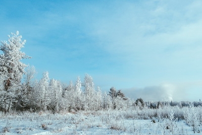 Погода в Могилеве и области на 1 - 3 декабря