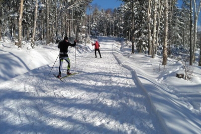 Спортивный праздник «Могилёвская лыжня-2019» пройдёт в Печерском лесопарке 19 января