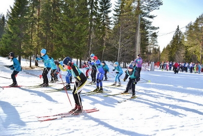 Областной праздник «Белорусская лыжня-2019» пройдет в Печерском лесопарке. Программа праздника