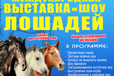Уникальная выставка породистых лошадей открывается в Могилеве