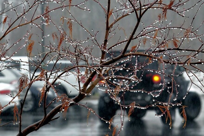 Тёплый январь в Могилевской области. Температурные рекорды начала 2020 года