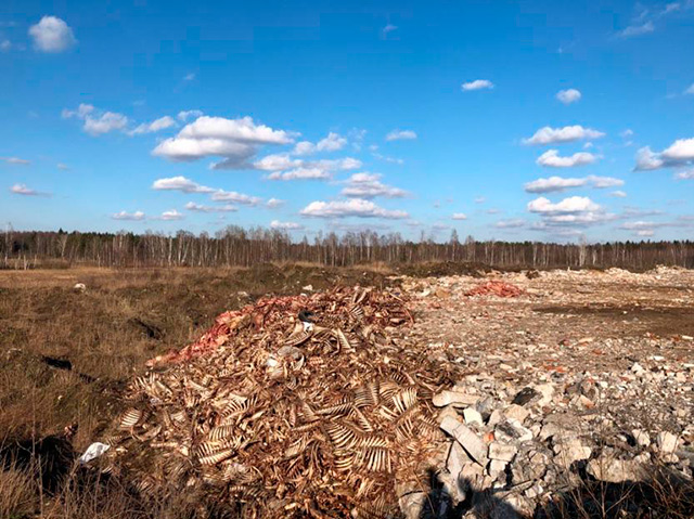 В Могилевской области участились случаи выброса останков животных в  несанкционированных местах