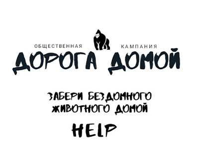 Общественная компания направленная на помощь бездомным животным стартует в Могилеве