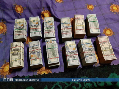 МВД прокомментировало обнаружение 900000 долларов на даче Тихановского. ФОТО и ВИДЕО
