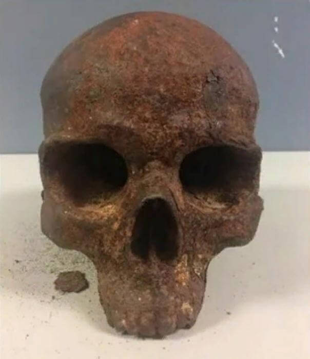 На пляже в Америке обнаружили загадочный металлический череп