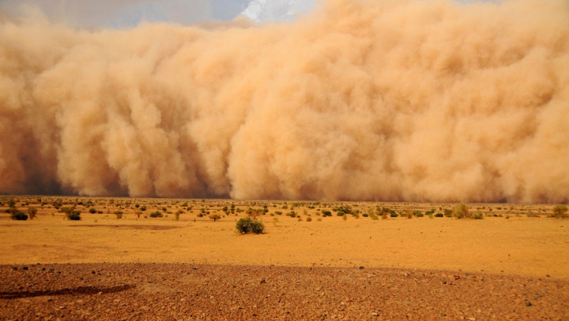 Огромное облако пыли из Сахары направляется в США