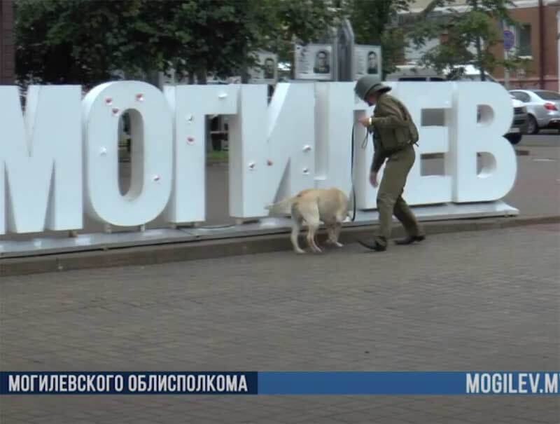 Неизвестный сообщил о наличии взрывного устройства на площади Славы в Могилеве. Видео как его искали