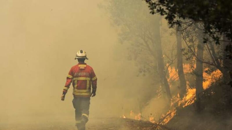 В Португалии не могут потушить сильнейший лесной пожар (видео)