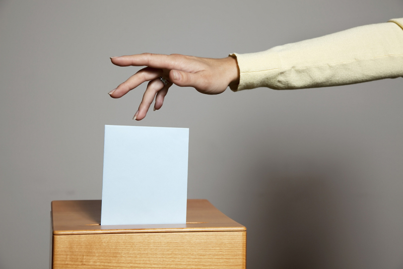 Сколько людей проголосовали в первый день досрочного голосования в Беларуси?