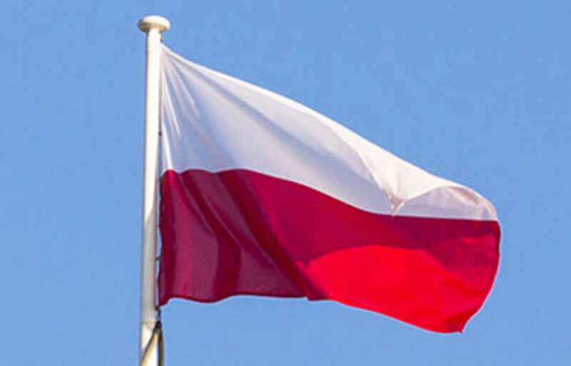Польша — единственная крупная страна ЕС, где увеличилась занятость населения