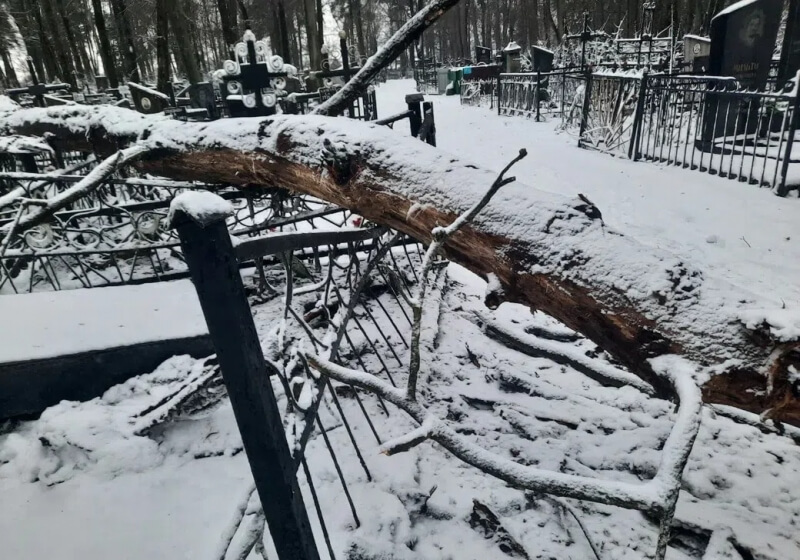 Упавшие деревья порушили могилы и ограды на городском кладбище в Бобруйске (фото)