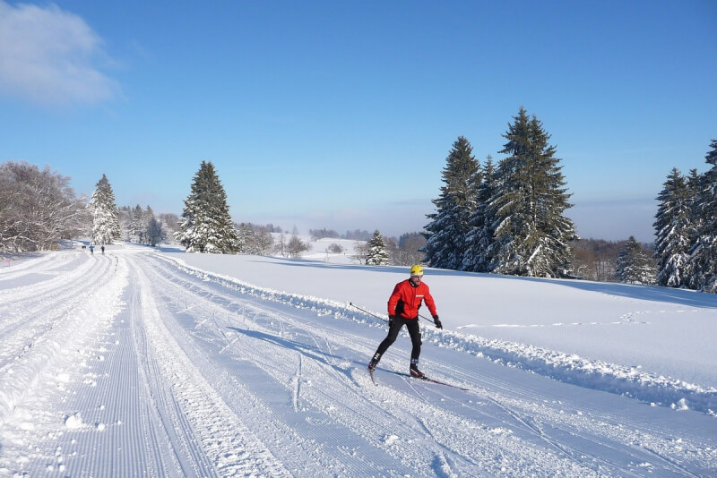 "Могилевская лыжня 2021" состоится 6 февраля в Чаусах