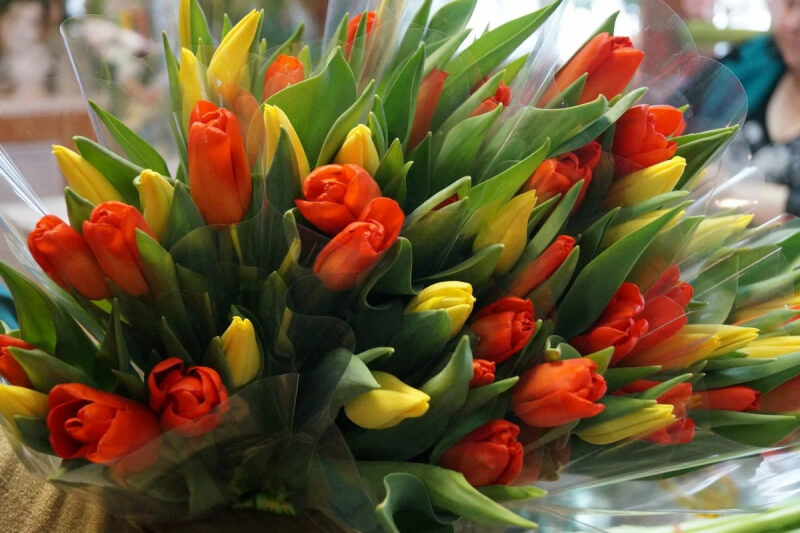 Могилевчане могут продавать цветы к 8 марта без регистрации ИП