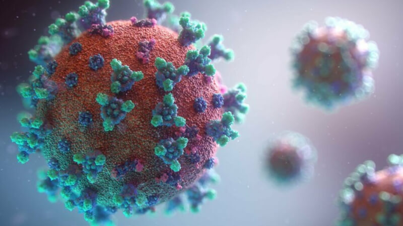 Во Франции обнаружили новую мутацию коронавируса