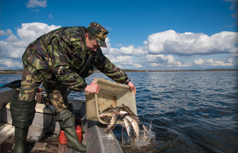 Рыбаки наловили рыбы под Осиповичами на 30 базовых величин (870 рублей).