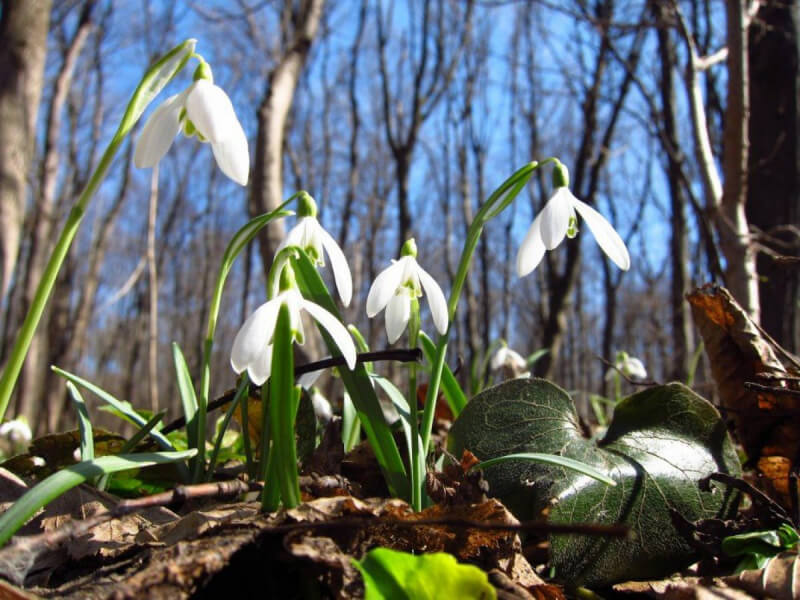 Начало недели будет теплым и солнечным. Погода в Беларуси на 12 апреля