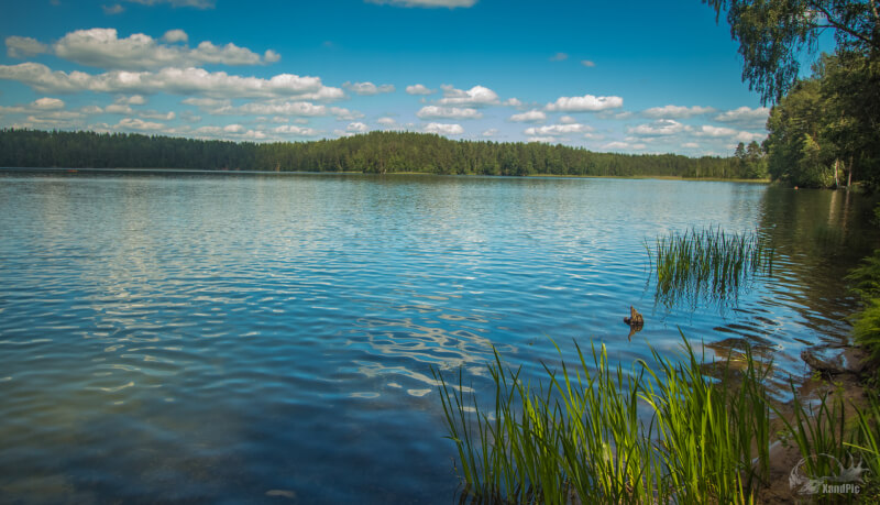 Акция "Чистый водоем" начнется в Беларуси 16 апреля
