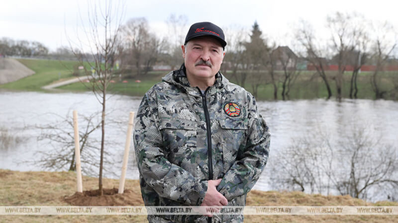 Лукашенко посетил малую родину Александрию и высадил деревья