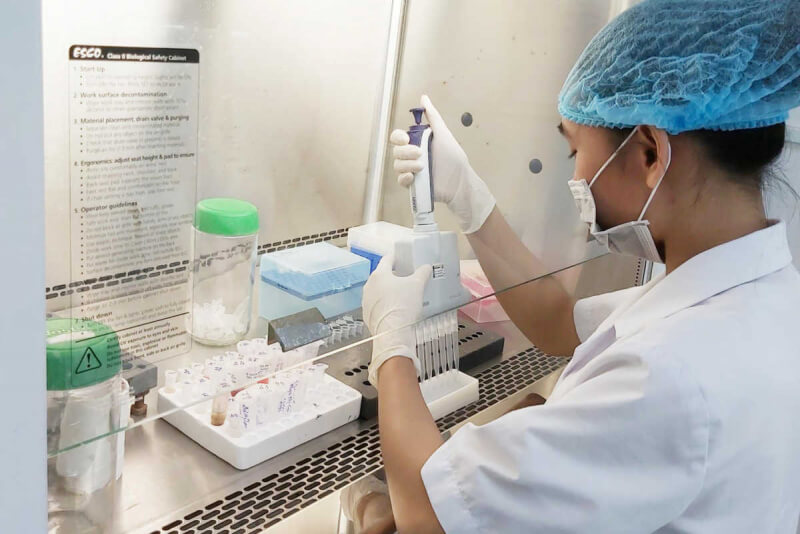 Разработка отечественной вакцины в Беларуси дошли до этапа испытания на животных