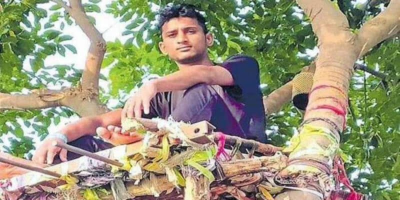 В Индии студент в COVID-19 просидел на дереве 11 дней, чтобы не заразить родных