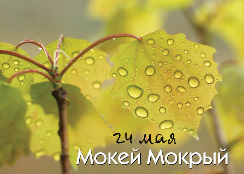 Погоду на все лето в Беларуси можно определить по этому дню. Народные приметы, религиозные праздники, именины, события и знаменитые личности