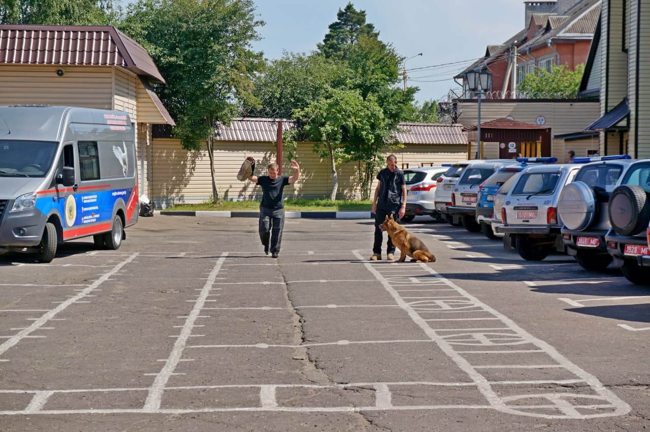 Вакансии в могилеве свежие за сегодня. Департамент охраны Могилев.