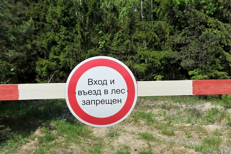 В Могилеве снова ввели запрет на посещение лесов