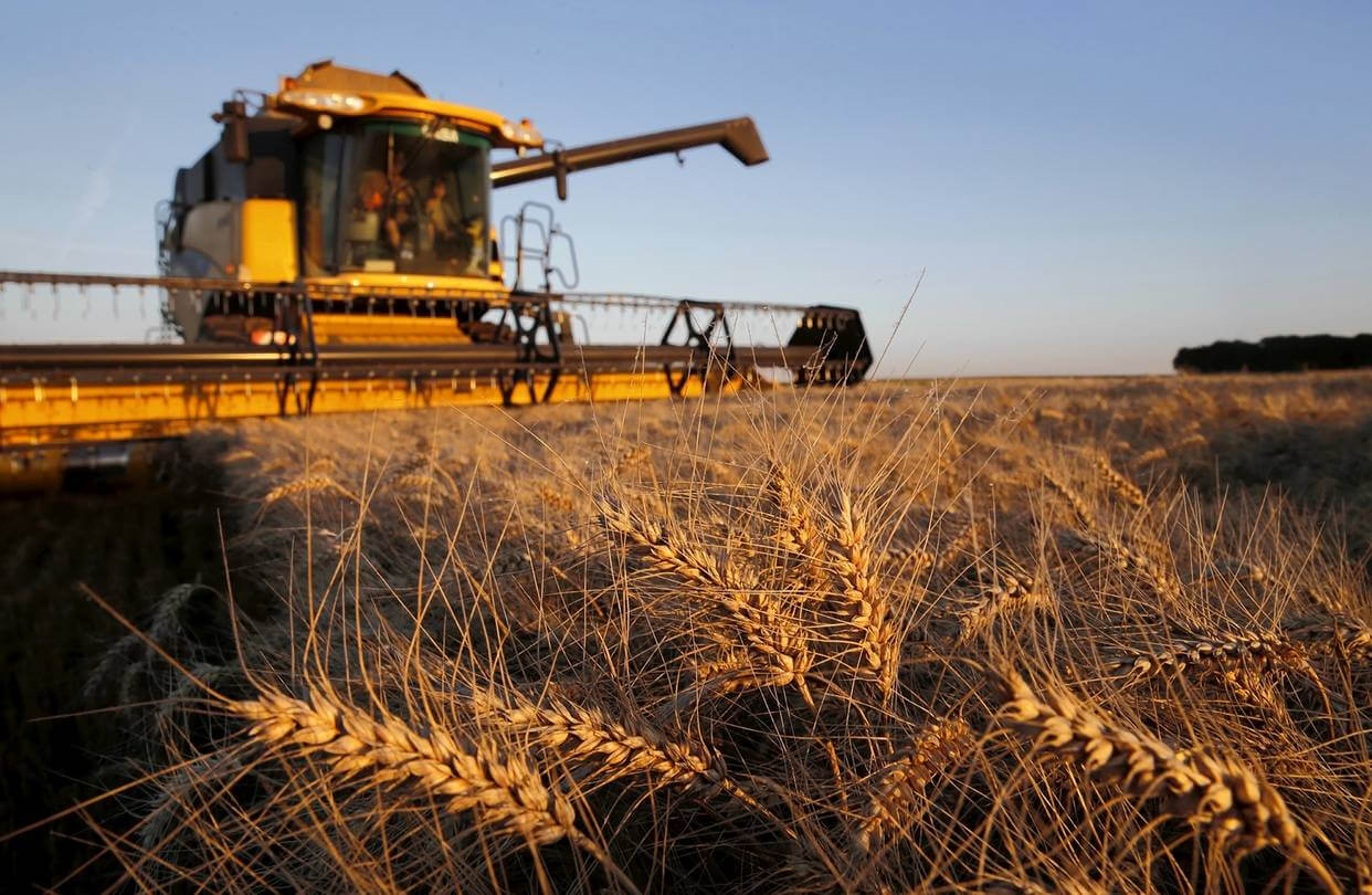 Более 40% площадей зерновых убрано в Могилевской области