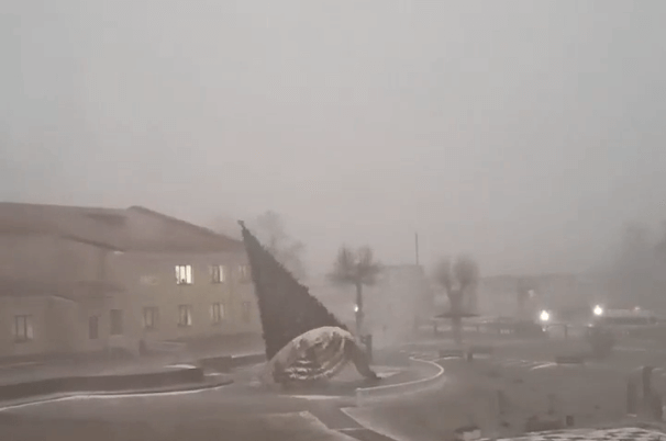 Белорусский елкопад. В Могилеве, Гомеле и Несвиже из-за сильного ветра рухнули елки