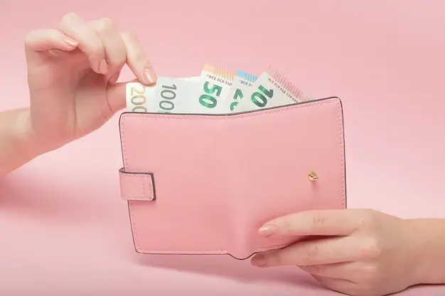 Могилевчанка забыла кошелек в магазине и лишилась более 1 тысячи долларов