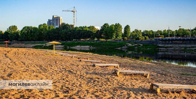 На городском пляже на Днепре в Могилеве желают выдвинуть запрет на купание детям и взрослым