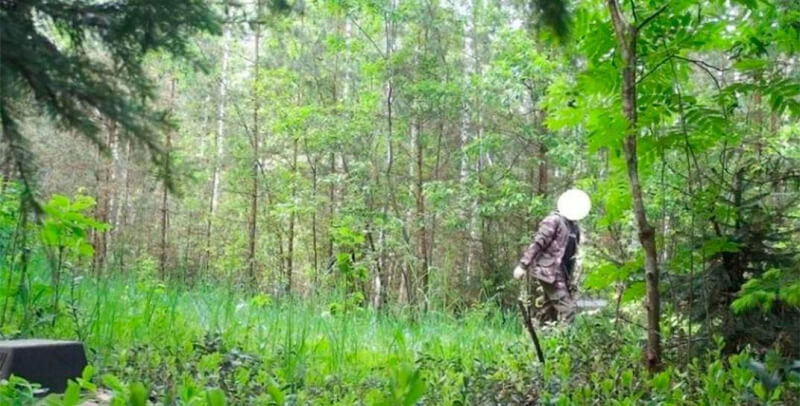 Мужчина занимался незаконной рубкой в лесу под Могилевом