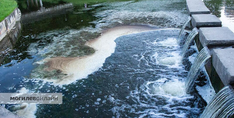 В Могилеве случилось непонятное загрязнение речки Дубровенка
