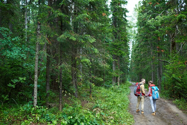 В 14 районах Могилевской области введены ограничения на посещения лесов