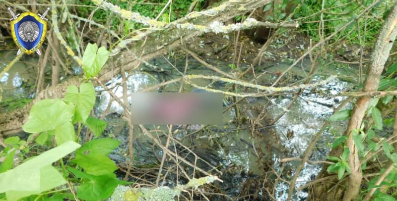 Тело жителя Слуцка найдено в реке под Быховом. Следователи занимаются выяснением причин смерти