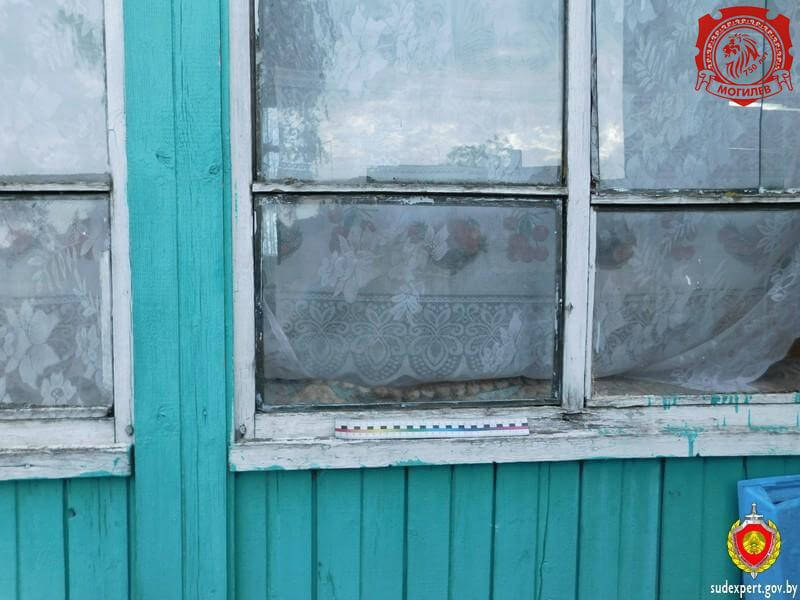 Односельчанин через окно похитил у жительницы климовичского района мясо и тушёнку