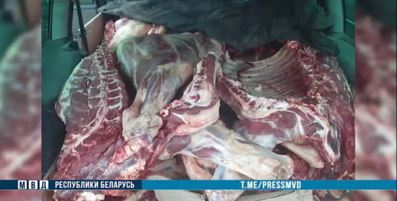 На Могилевщине задержаны пять человек, которые пытались незаконными путями ввезти в Россию более 5.5 тонн мяса