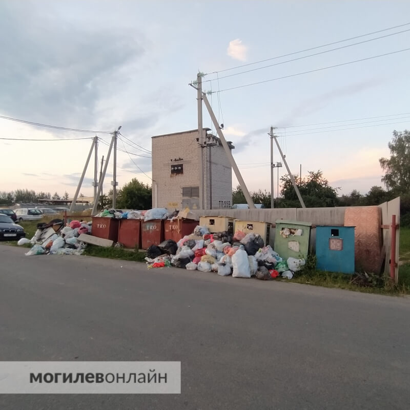В Подгорье под Могилевом жители жалуются на невывоз мусора
