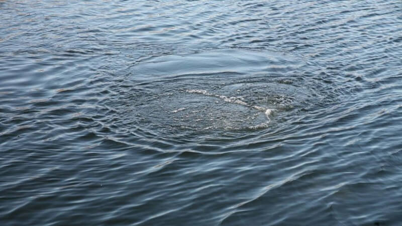 В городе Быхове в реке утонула женщина