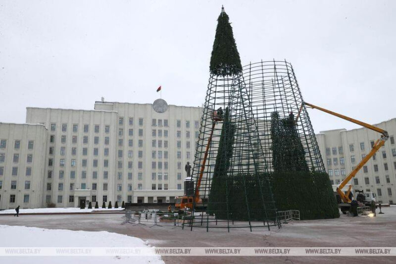 В Могилеве продолжают монтировать главную елку области — самую высокую в Беларуси