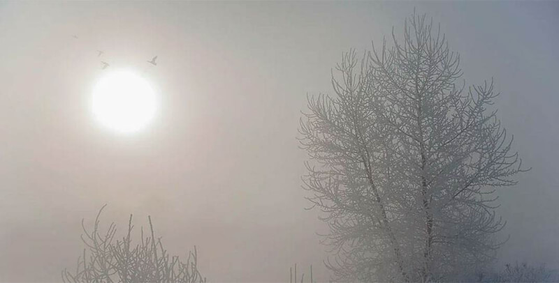 Погода в Могилеве на среду, 14 декабря