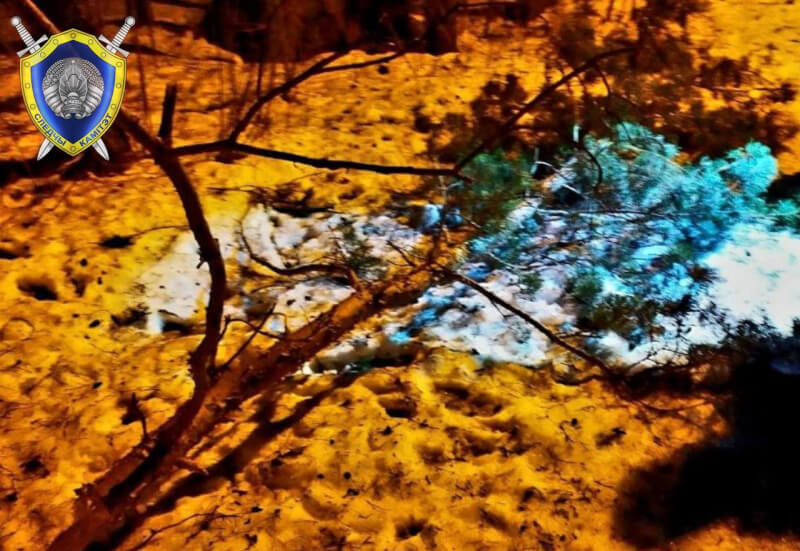 В Минске упавшая ветка дерева серьезно травмировала подростка