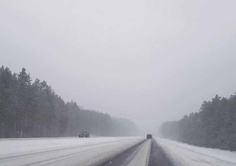 Осадки, ухудшение видимости и порывистый ветер на дорогах: прогноз погоды в Могилеве 31 января