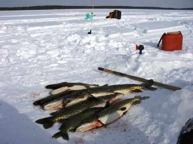 Рыбалка в крае видео. Зимняя рыбалка. Озеро рыбалка зима. Зимняя рыбалка на озере. Зимняя платная рыбалка.