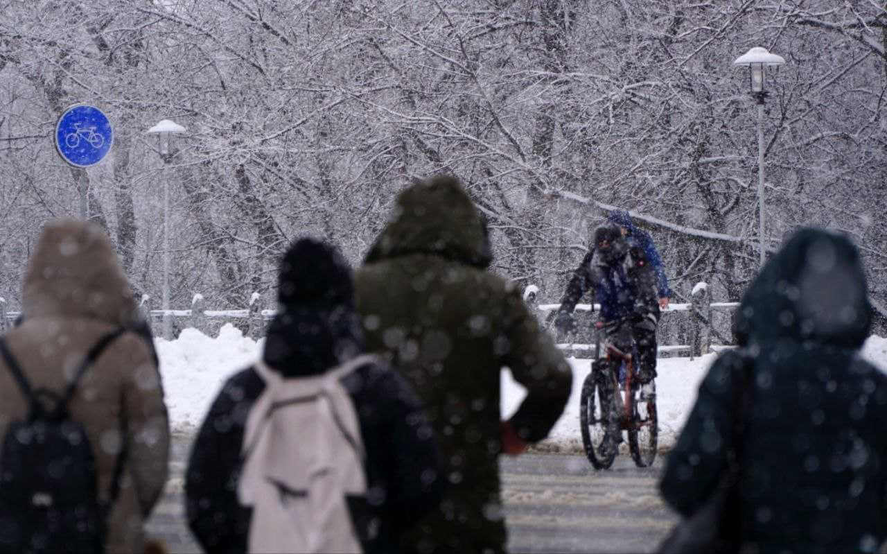 Зима вернулась: фото заснеженного Могилева