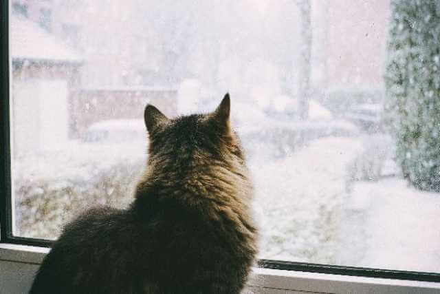 Прогноз погоды в Могилеве 7 февраля ожидается кратковременный снег